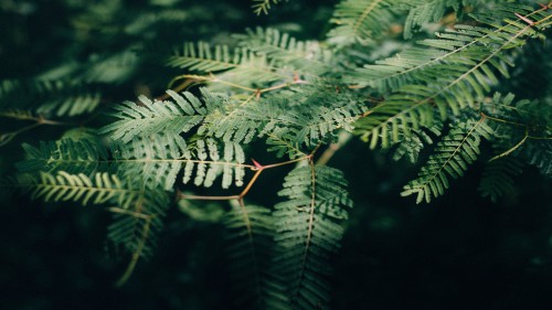 08cf4bc53808f5306f7d49fd1e65b87a.jpg