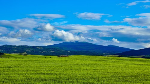 3268b8fb31672e6710e4748f03624f15.jpg