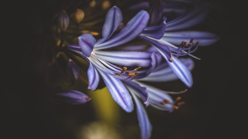 332d0c958977b9728f50223a5f576493.jpg