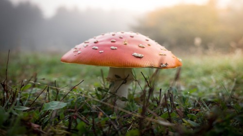 4c1f0b671cbd0413cc2671c4cb03f9d2.jpg