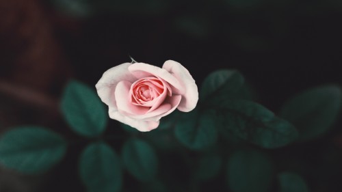 52fd4a7006fab93c2ad776ca4fc3acfb.jpg