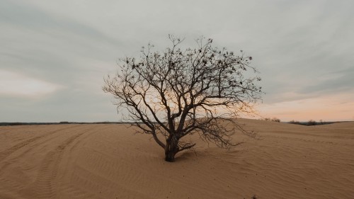 5d2d7b67b72e4.jpg