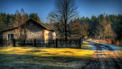 5dbfd302690ad.jpg