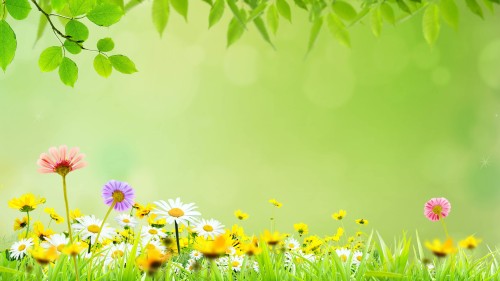 a59fe68dffa0c3fb10161de91e31a6a5.jpg