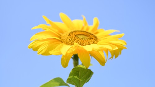 a9623f1124deee154e9ce87a347ee336.jpg