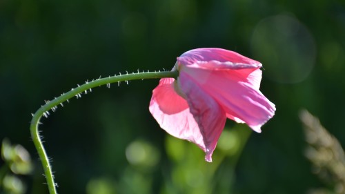 c10f78be2f780f7a5af5974dded2aaa4.jpg