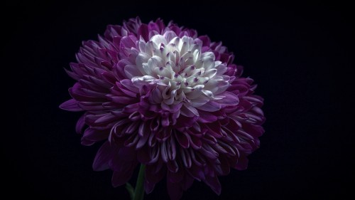 d40a66a19a2608b77ded14770c2a31cb.jpg